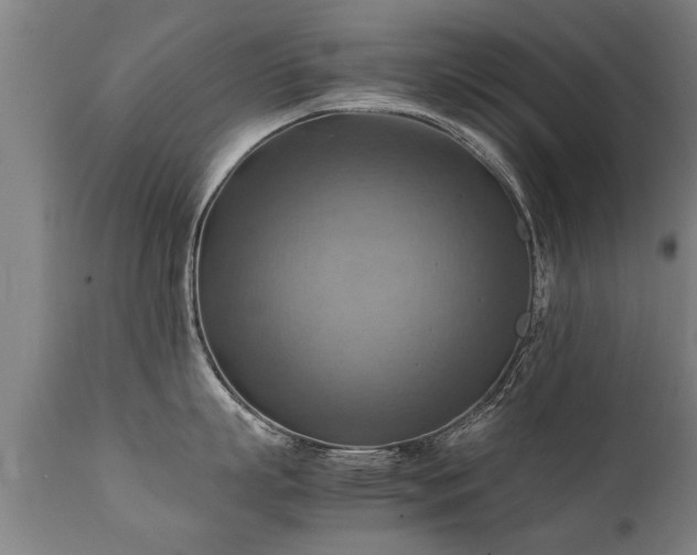 X0000112090863200908111351