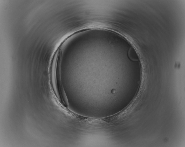 X0000112090864200908111351