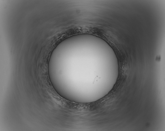 X0000112090865200908111350