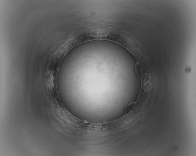 X0000112090866200908111350