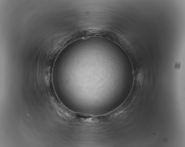 X0000112090868200908111350