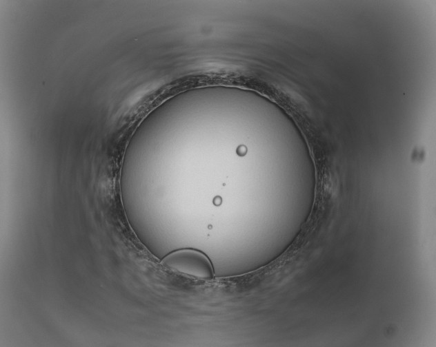 X0000112090869200908111350