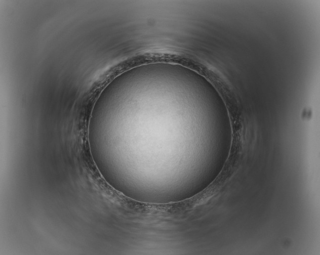 X0000112090870200908111350