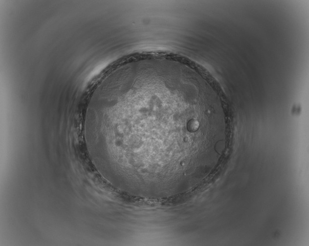 X0000112090871200908111350