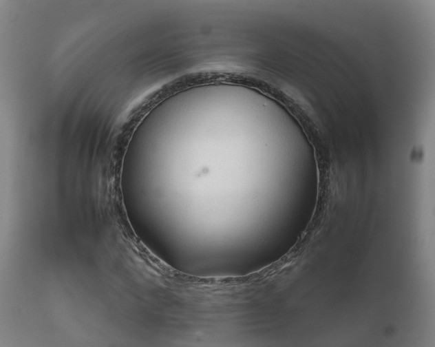 X0000112090872200908111350