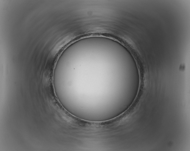 X0000112090873200908111350