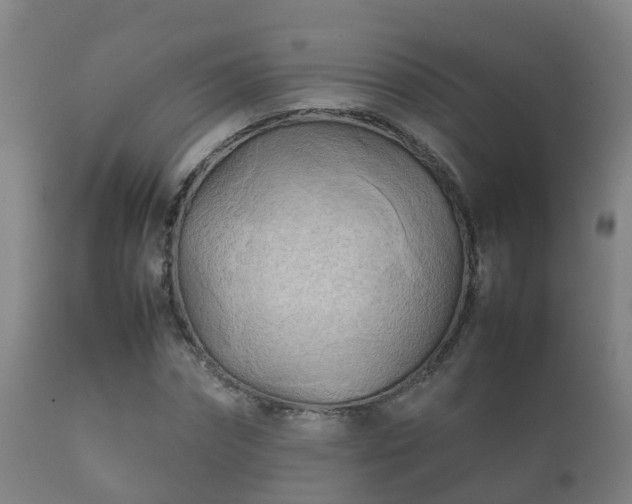 X0000112090874200908111350