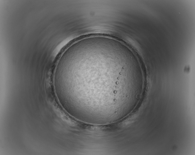 X0000112090875200908111350