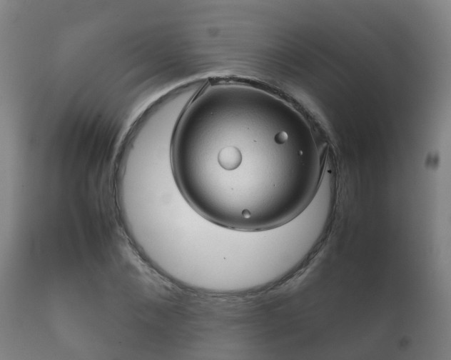 X0000112090876200908111350