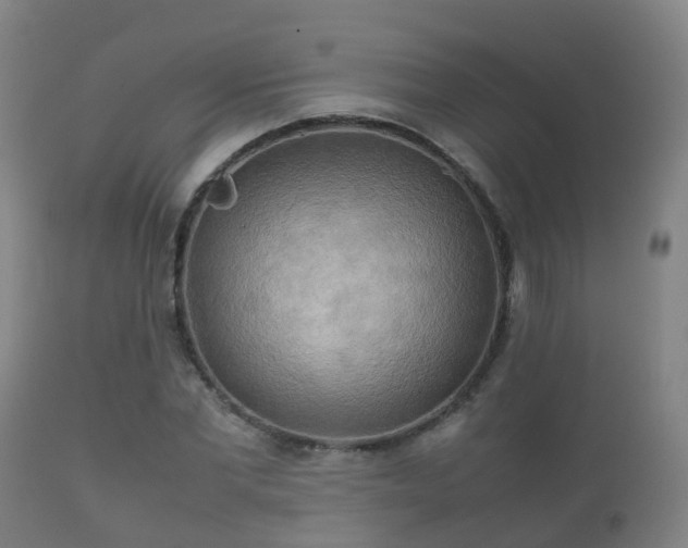 X0000112090877200908111350