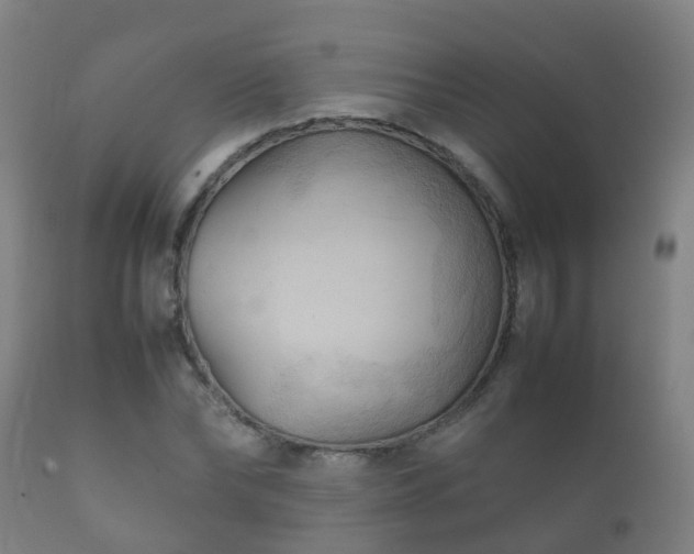 X0000112090878200908111350