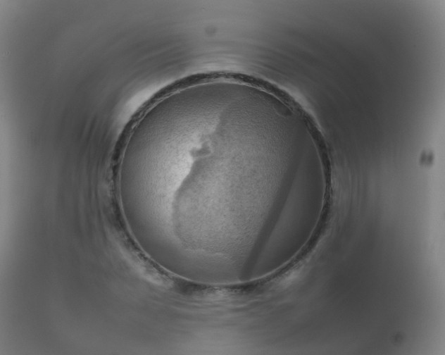 X0000112090879200908111350