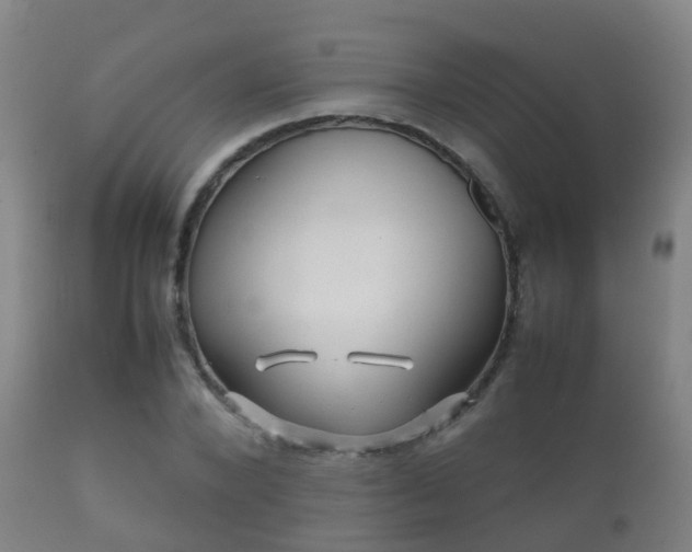 X0000112090880200908111350