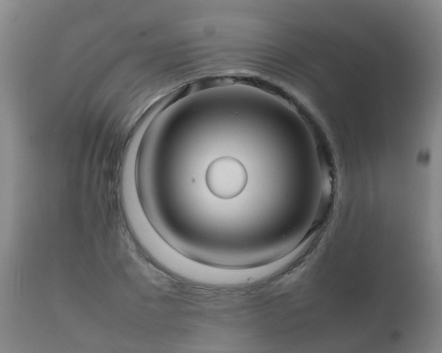 X0000112090881200908111350