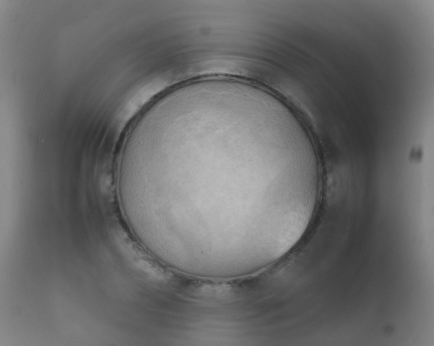 X0000112090882200908111350