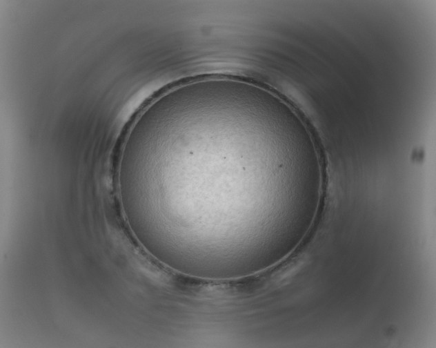 X0000112090883200908111350