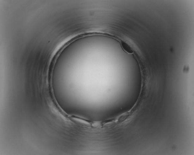 X0000112090884200908111350