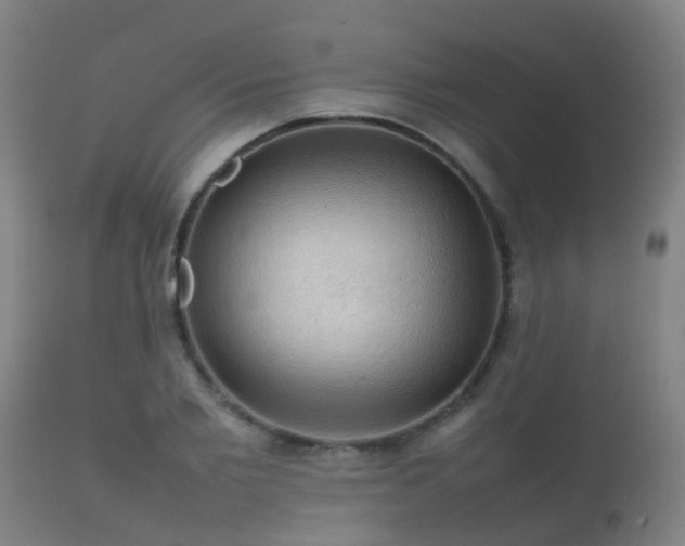 X0000112090885200908111350