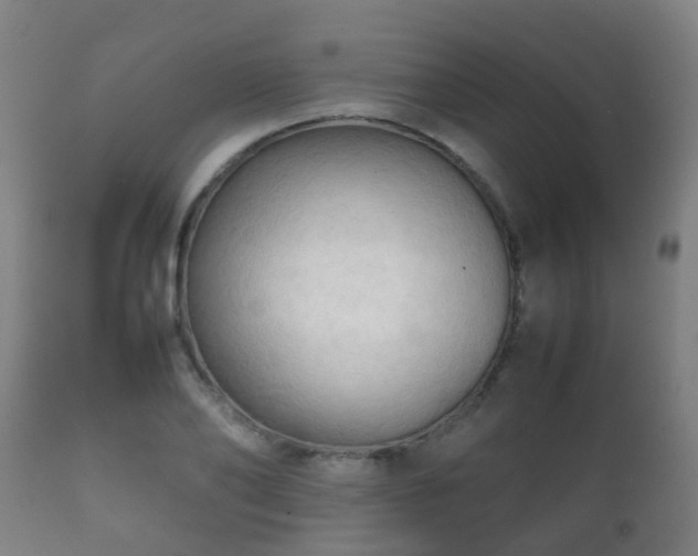 X0000112090886200908111350