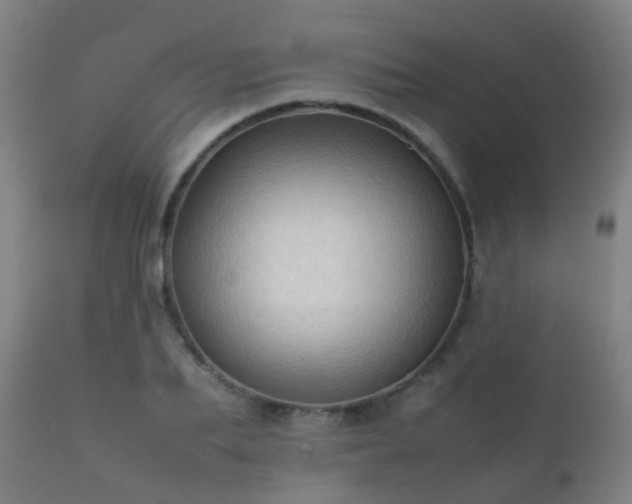 X0000112090887200908111350