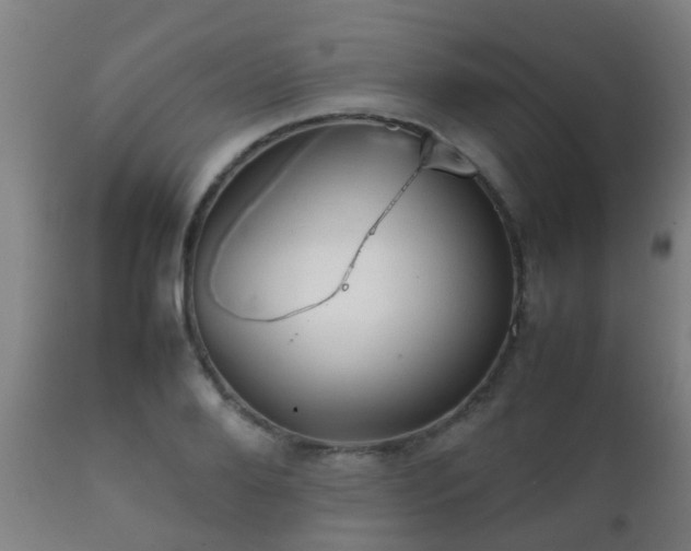 X0000112090888200908111350