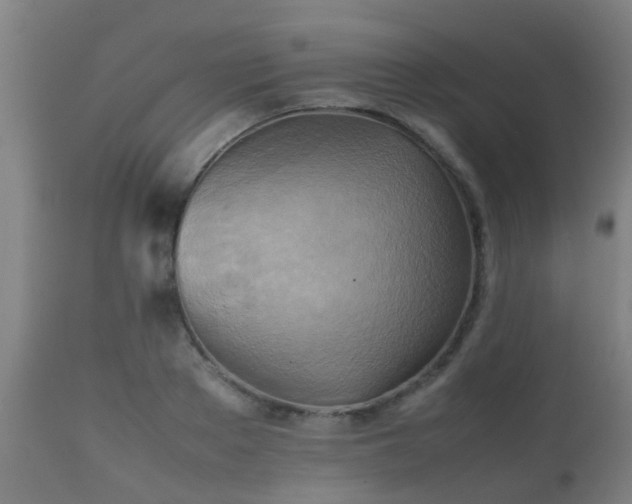 X0000112090889200908111350