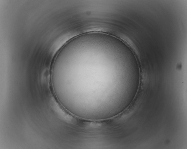 X0000112090890200908111350