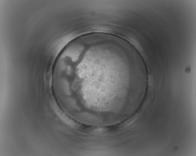 X0000112090891200908111350