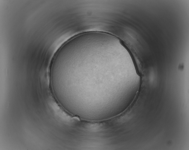 X0000112090892200908111350