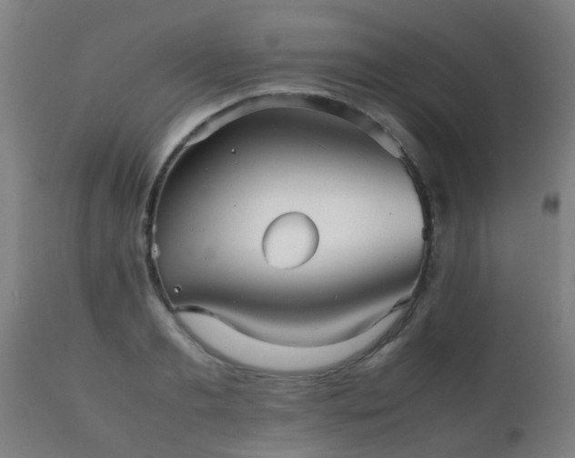 X0000112090893200908111350