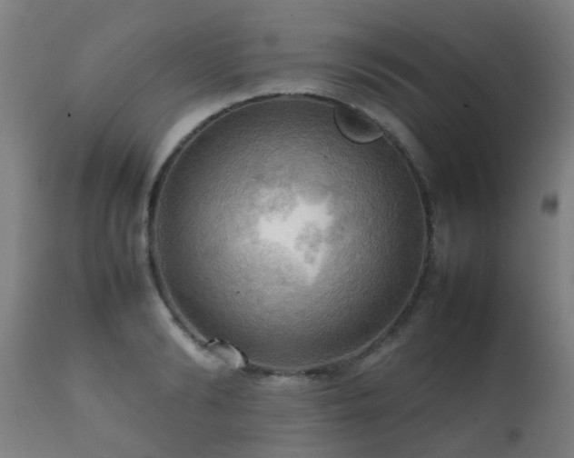 X0000112090894200908111350