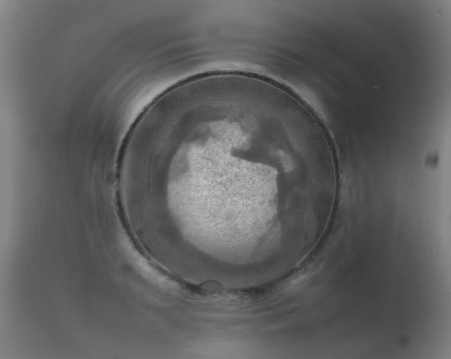 X0000112090895200908111350