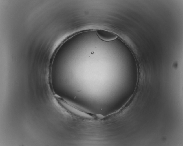 X0000112090896200908111350