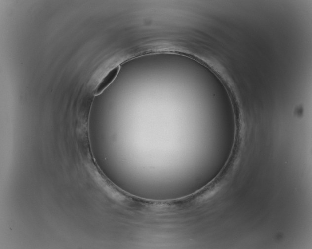 X0000112090897200908111350