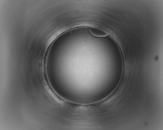 X0000112090898200908111350