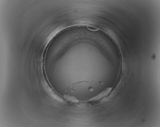 X0000112090899200908111350