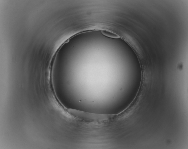 X0000112090900200908111350