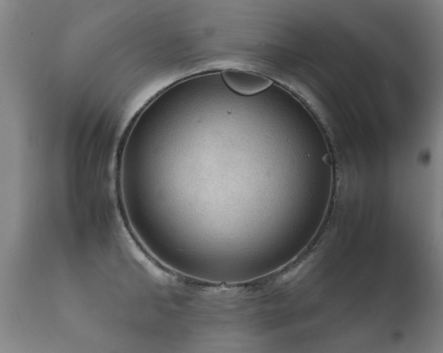 X0000112090902200908111350