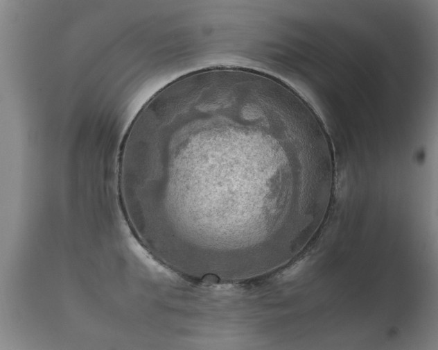 X0000112090903200908111350