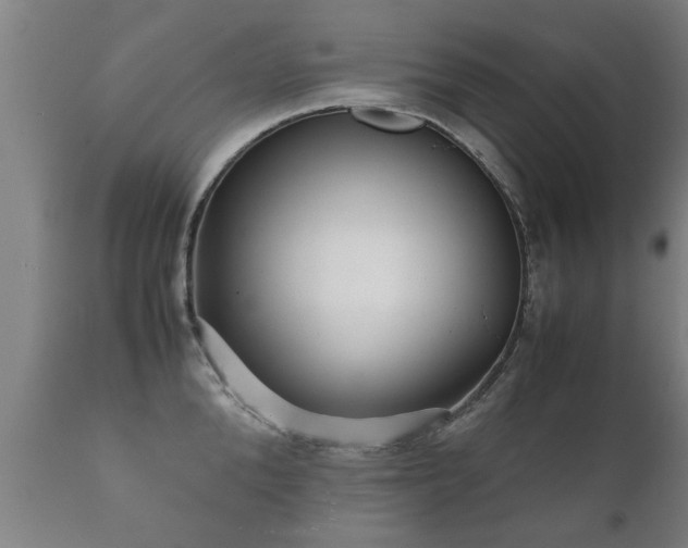 X0000112090904200908111350