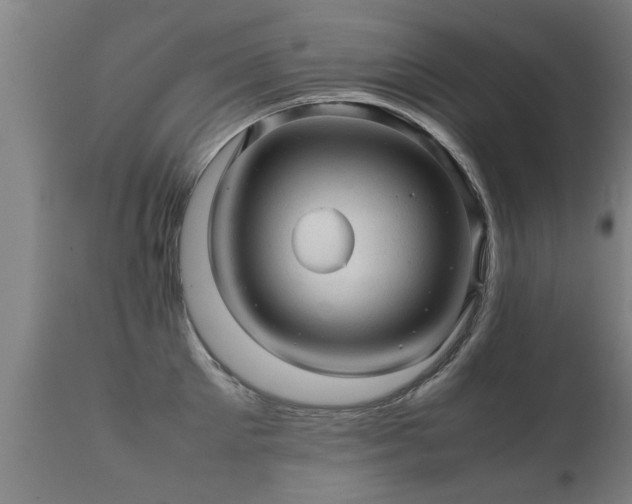 X0000112090905200908111350