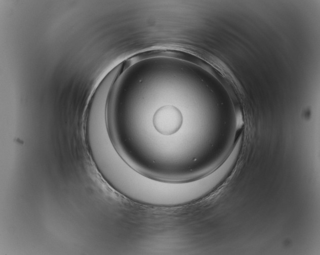 X0000112090908200908111350