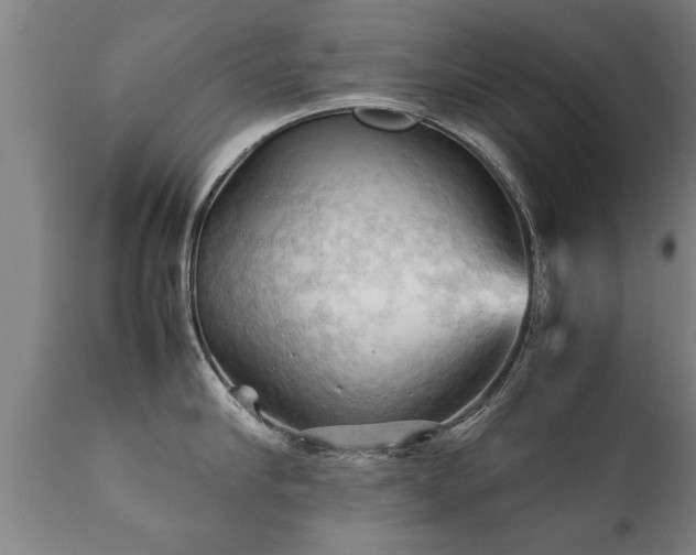 X0000112090910200908111350