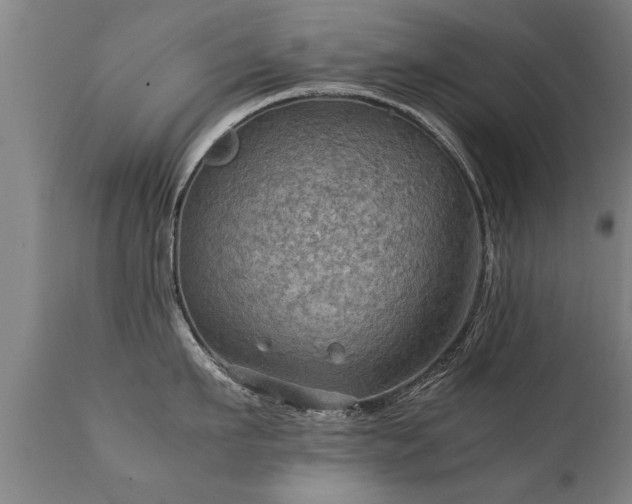 X0000112090911200908111350