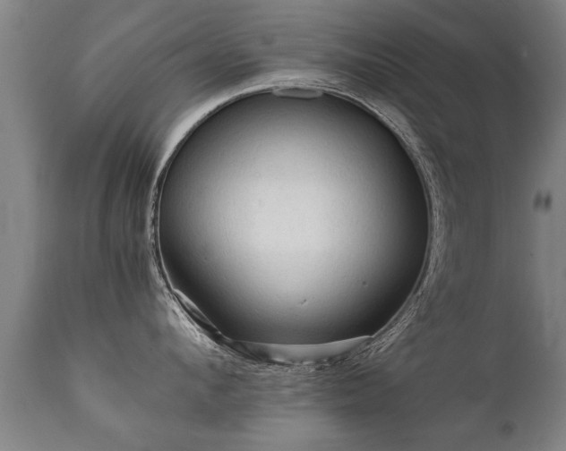 X0000112090912200908111350