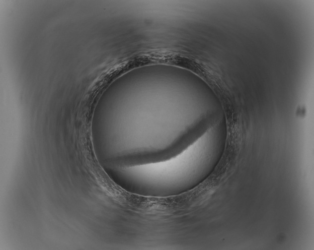 X0000112090913200908111349