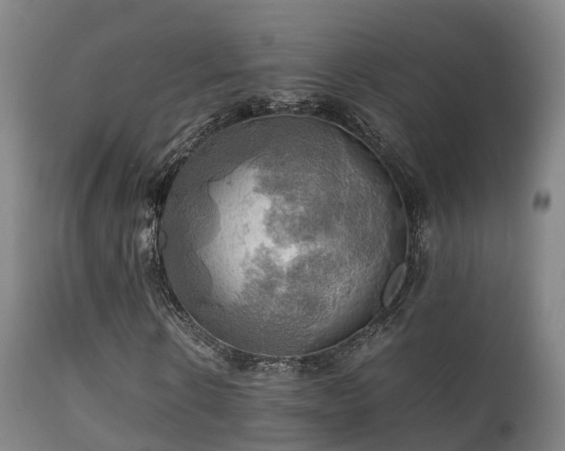 X0000112090914200908111349