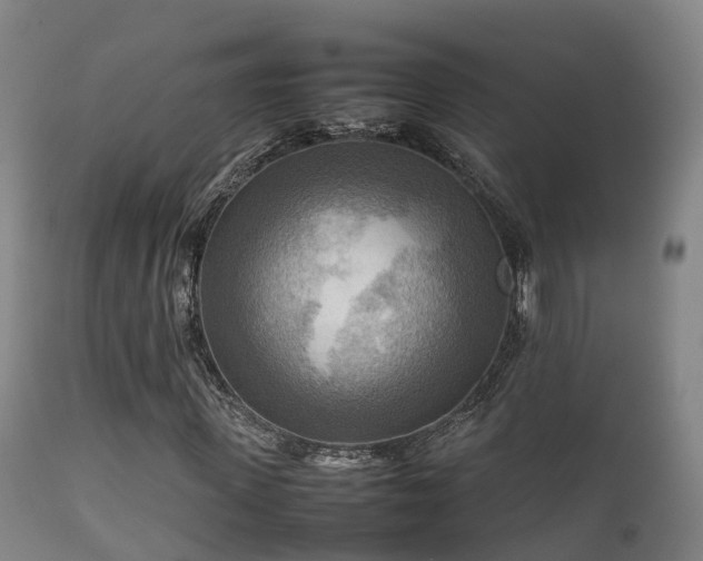 X0000112090915200908111349