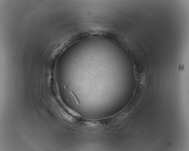 X0000112090916200908111349