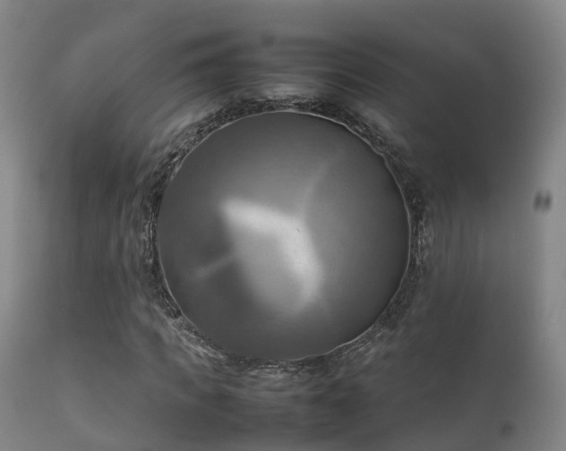 X0000112090917200908111349